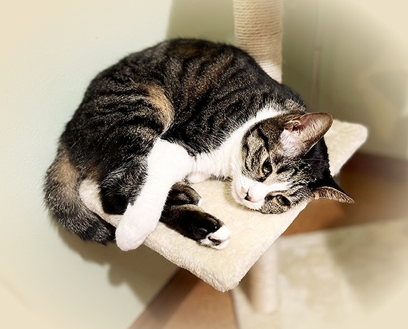 202112_20220729141902 202112_20220729141902