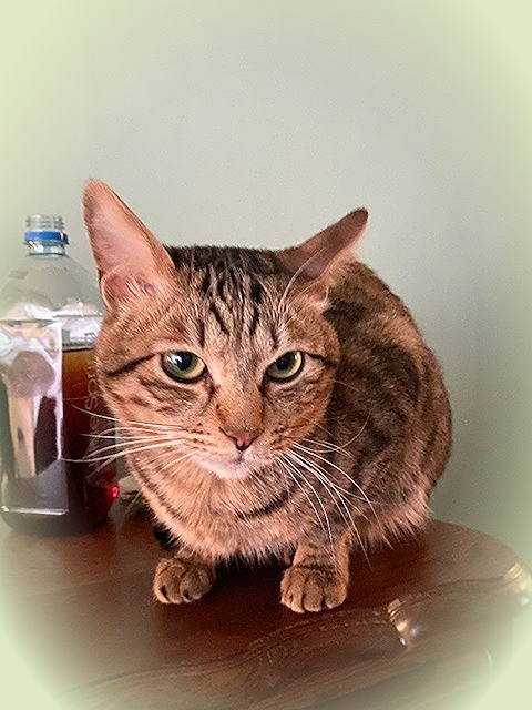 20212_20210219162301 20212_20210219162301