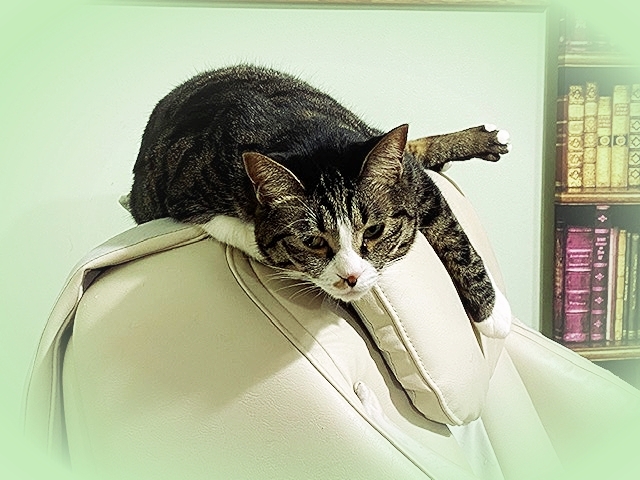 20212_20210219170301 20212_20210219170301