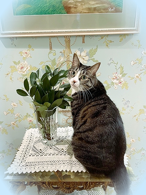 20217_20210726102501 20217_20210726102501