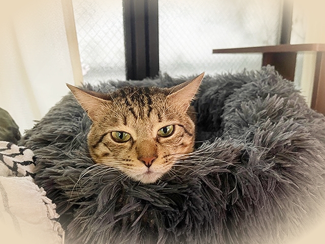 20218_20210822124201 20218_20210822124201