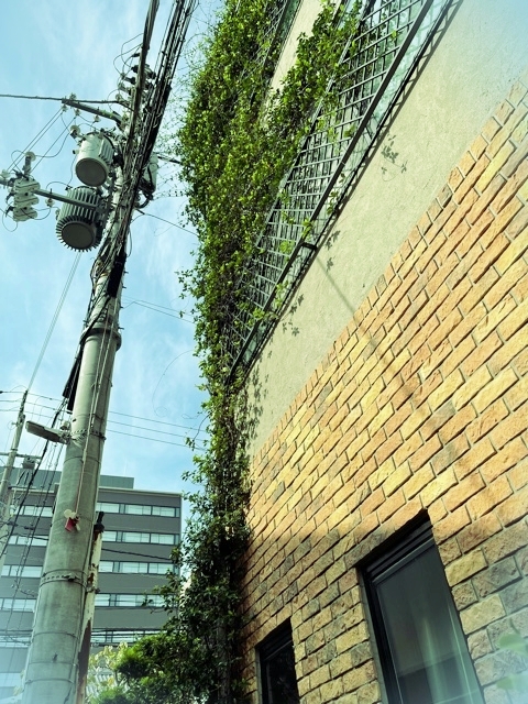 20218_20210915153001 20218_20210915153001