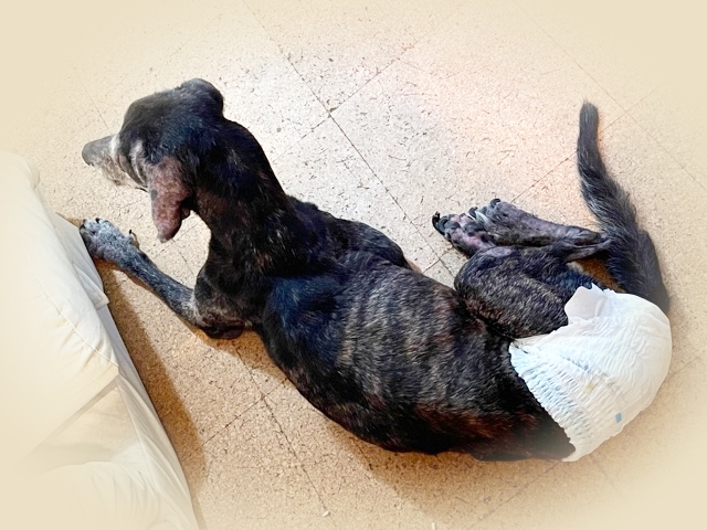 20219_20210915153901 20219_20210915153901