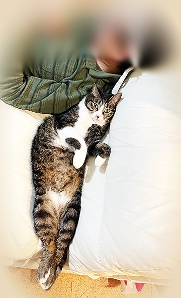 20219_20211014083801 20219_20211014083801