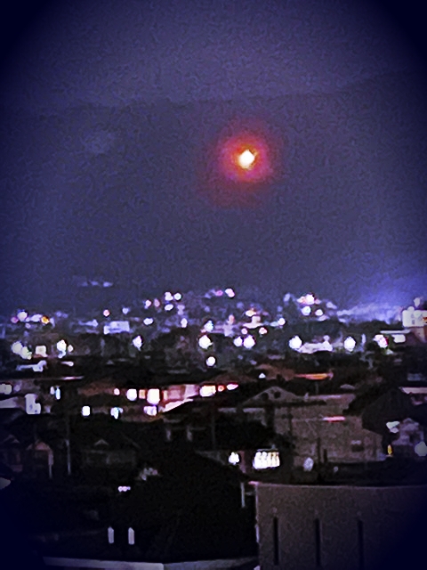 2021_20210821141702 2021_20210821141702