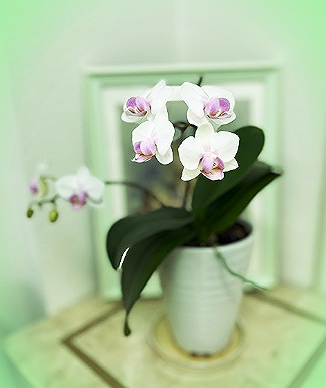 20222_20220307091501 20222_20220307091501