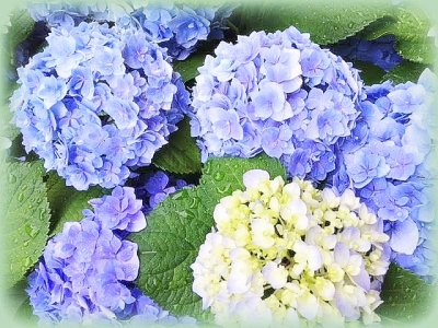 Photo_20210625080901 Photo_20210625080901