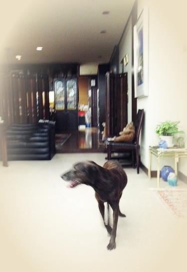 2014_20220729141401 2014_20220729141401