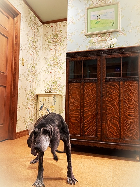 202210_20221026104801 202210_20221026104801