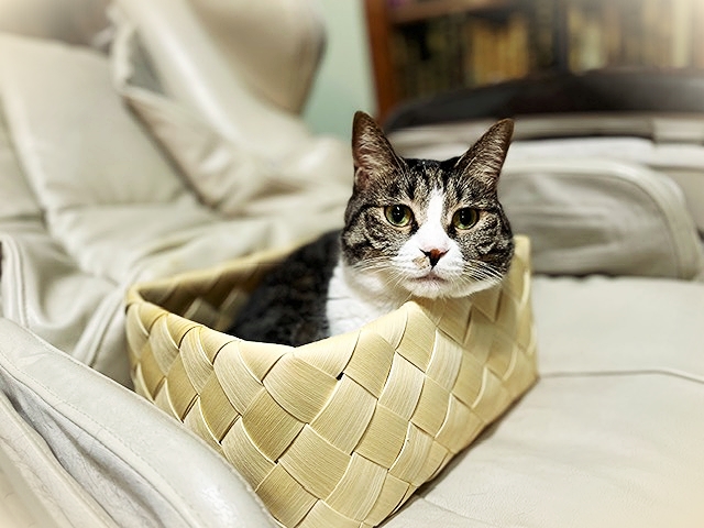 202210_20221026105001 202210_20221026105001