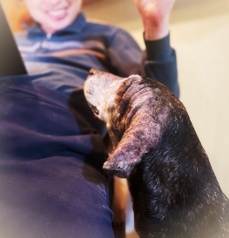 202211_20221129160001 202211_20221129160001