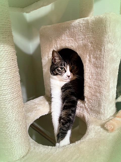 202211_20221129160002 202211_20221129160002