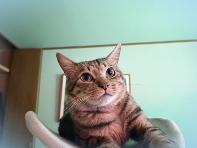 202211_20221129160003 202211_20221129160003