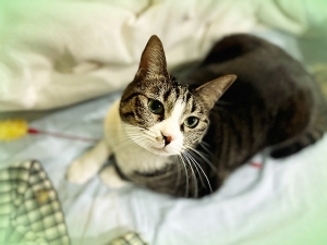 20221_20220113133001 20221_20220113133001