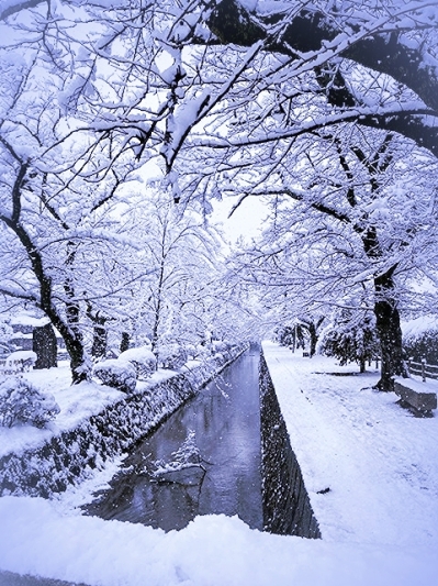 20221_20220214152501 20221_20220214152501