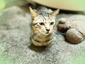 20221_20220729141602 20221_20220729141602