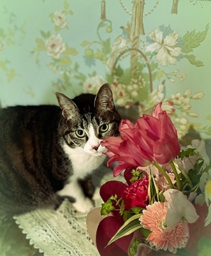 20222_20220729141501 20222_20220729141501