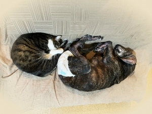 20225_20220523143001 20225_20220523143001