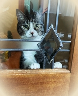 20226_20220620165201 20226_20220620165201