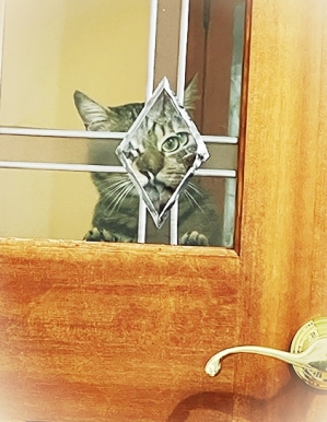 20226_20220620165401 20226_20220620165401