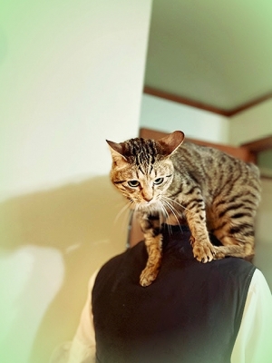 20226_20220620165501 20226_20220620165501