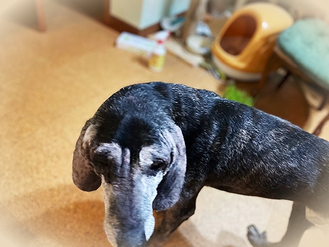 20229_20220924120201 20229_20220924120201