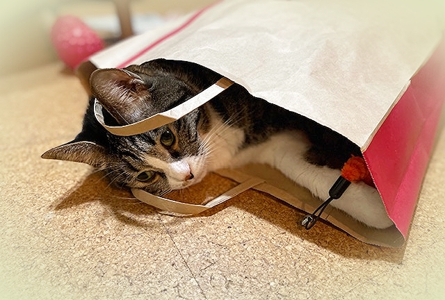 20229_20220924120401 20229_20220924120401