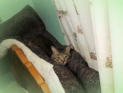 20229_20220924120701 20229_20220924120701