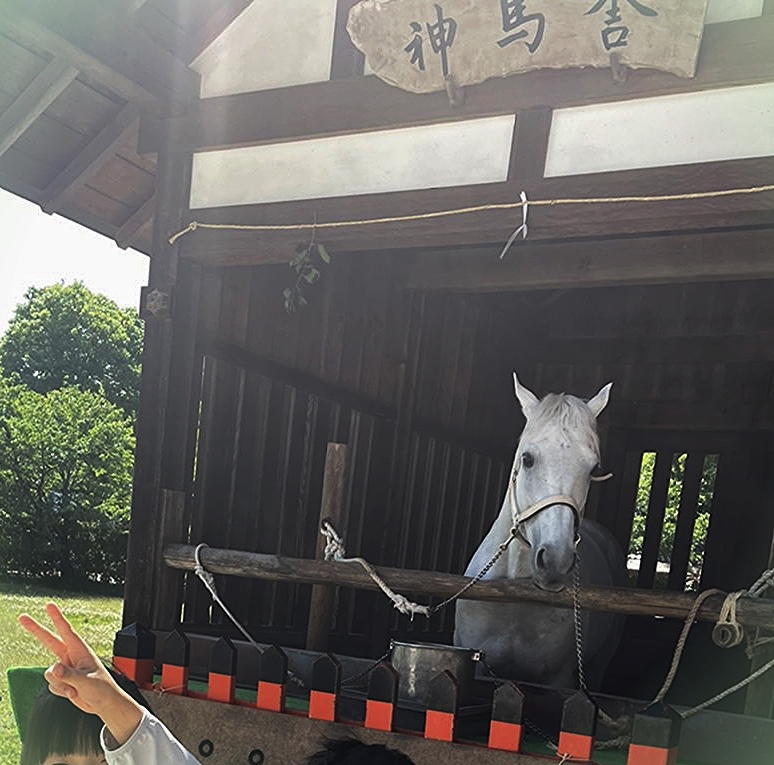 Photo_20220524132201 Photo_20220524132201