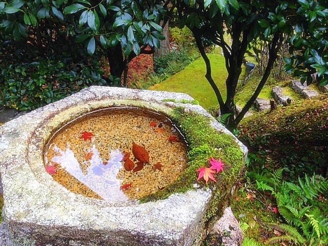 Photo_20221129150101 Photo_20221129150101