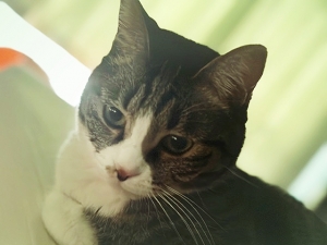 20231_20230225114801 20231_20230225114801