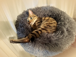 20232_20230225115001 20232_20230225115001