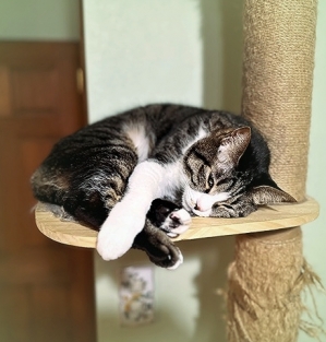 20233_20230328155801 20233_20230328155801