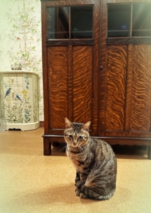 20233_20230328160001 20233_20230328160001