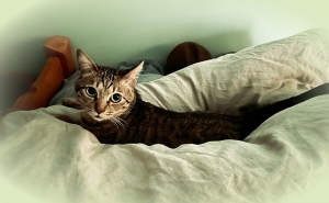 20234_20230426123701 20234_20230426123701