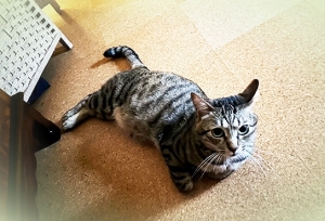 20235_20230519122801 20235_20230519122801