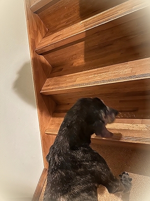 20235_20230520104101 20235_20230520104101