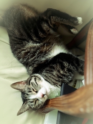 20236_20230628112301 20236_20230628112301