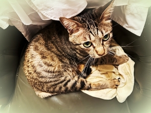 20236_20230628112501 20236_20230628112501