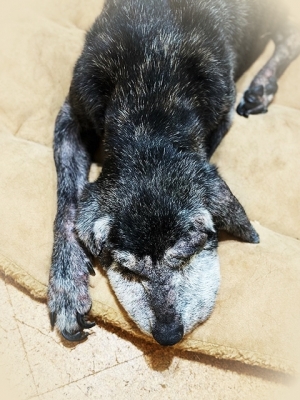 20237_20230724110801 20237_20230724110801