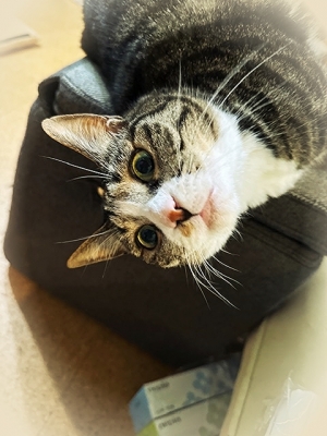 20237_20230724111601 20237_20230724111601