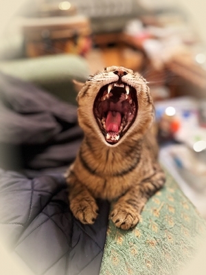 20237_20230724111801 20237_20230724111801