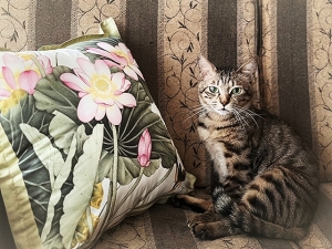 20238_20230822132501 20238_20230822132501