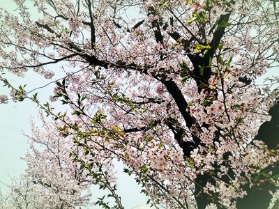 2023_20230426113501 2023_20230426113501