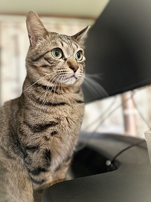 20243_20240324143601 20243_20240324143601