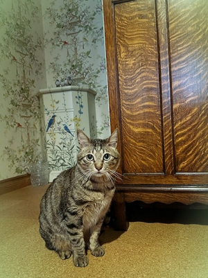 20245_20240528120001 20245_20240528120001